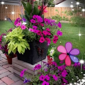 Meet your Posher, Rashida